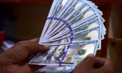 قیمت دلار امروز ۲۴ آذر در بازار آزاد اعلام شد + جدول ارز