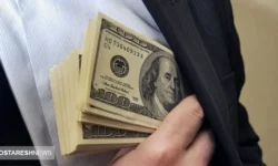 پیش‌ بینی قیمت ارز ۲۹ آذر ۱۴۰۳ | دلار امروز رکوردشکنی می کند؟