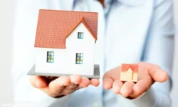 تغییر مسیر حمایت‌ های اقتصادی دولت | زمین به جای یارانه نقدی