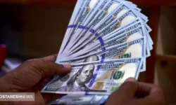 دولت درباره قیمت دلار به در بسته خورد (۱۱ دی)