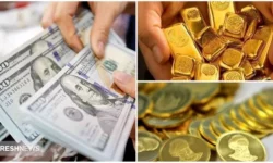 ریزش ۱۰۰ هزار تومانی قیمت طلا در بازار | دلار همچنان می تازد!
