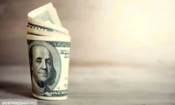پیش بینی قیمت دلار در ۲۰۲۵ | صرافی ها هشدار گرفتند