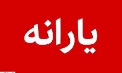 یارانه معیشتی ثروتمندان همچنان پرداخت می‌شود؛ مجلس به سیم آخر زد