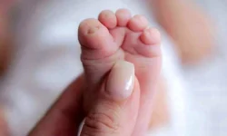 دولت سنگ تمام گذاشت ؛ آغاز ثبت نام سهام ویژه نوزادان + لینک اصلی