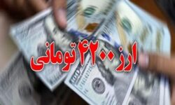 زارعی: حذف ارز ترجیحی تبعات جبران‌ناپذیری دارد