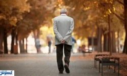 زنگ خطر برای میلیون‌ها بازنشسته؛ بیمه تکمیلی یک‌ شبه پرید