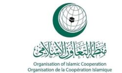 سازمان همکاری اسلامی حمله رژیم صهیونیستی به سوریه را محکوم کرد