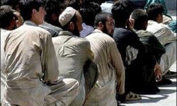 سرهنگ حبیبی فر: ۱۷۳ تبعه بیگانه غیرمجاز در زابل جمع آوری شدند