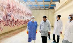 معدوم سازی ۲۶۰۰ کیلوگرم فرآورده غیرقابل مصرف در چابهار