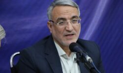 معینی‌آرانی: بسیاری از جوانان معطل وام ازدواج و فرزندآوری مانده‌اند
