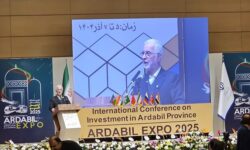 مومنی: استان اردبیل آماده جهش در همکاری‌های اقتصادی است