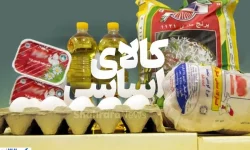 میزان تخصیص ارز برای تامین کالاهای اساسی اعلام شد