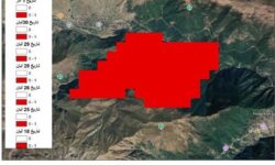 پایش آتش جنگل‌های الیت از طریق تصاویر ماهواره‌ای VIIRS