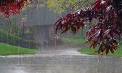 پیش بینی بارش پراکنده در استان‌های ساحلی دریای خزر