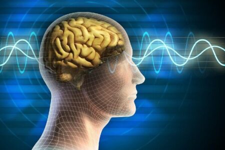 ارتقای دانش در حوزه سازوکارهای مغزی کنترل توجه در بینایی