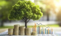 اقتصاد مقاومتی، راه حل اساسی یا راه کار موقتی؟