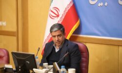 امامی یگانه: شبکه دلالی برای حمایت از صادرکنندگان حذف می شود