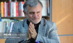 امانی: سازمان اقتصاد اسلامی سالانه چند همت وام قرض الحسنه می‌دهد