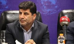 امکان خرید نهاده‌های دامی در بازارگاه آغاز شد