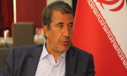 انارکی: نباید فرهنگ را جدا از اقتصاد تحلیل کرد
