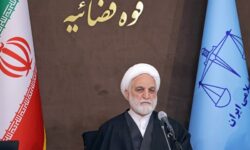 اژه‌ای: ادعای پرداخت جریمه 11هزار میلیاردی از سوی قاچاقچی صحت نداشت