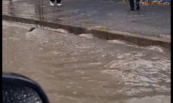 بارش باران و آبگرفتگی معابر در قروه