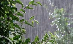 بارش تگرگ در ایلام