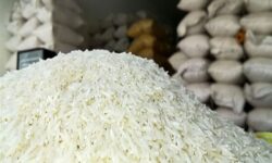 بازار برنج زیر فشار سیاست‌های متناقض؛ مجلس خواستار پاسخگویی دولت شد