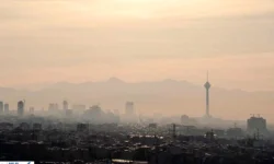 برای خانه خود نفس بخرید ؛ نجات از آلودگی با ۵ گیاه آپارتمانی