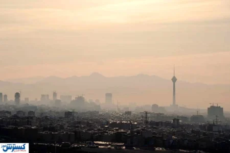 برای خانه خود نفس بخرید ؛ نجات از آلودگی با ۵ گیاه آپارتمانی