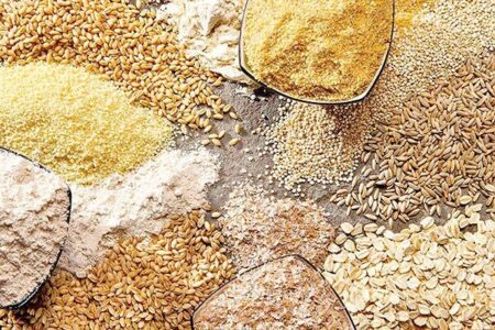 برخورد با متخلفان دریافت غیرقانونی نهاده‌های دامی در نیشابور
