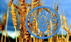برنامه پزشکان خاک ایران مورد تحسین فائو قرار گرفت