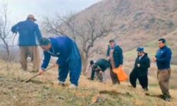 برگزاری مراسم «زاگروسانه» با رویکرد حفاظت از منابع طبیعی در روستای نسل