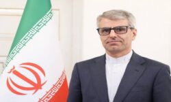 بقائی: آمریکا باید به خاطر ارتکاب جنایت علیه بشریت مواخذه شود