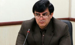 بودجه فرهنگی نباید تضعیف شود؛ لزوم توجه هوشمندانه به حوزه فرهنگ