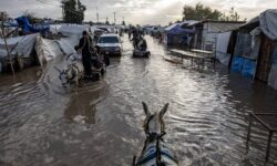 بیانیه مشترک انگلیس، کانادا، ژاپن و کشورهای اروپایی درباره غزه