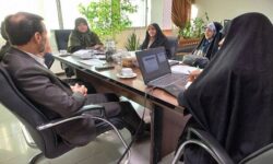 تحلیل و بررسی کارنامه عملکرد دستگاه‌های اجرایی در حوزه عدالت جنسیتی