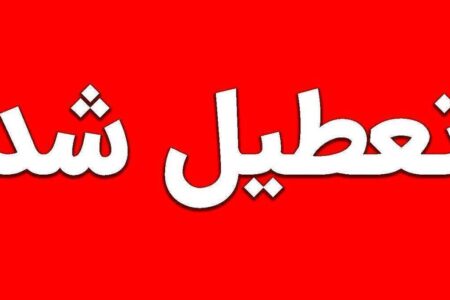 تعطیلی مدارس به دلیل شیوع  آنفلوآنزا / شنبه و یکشنبه (۱۵ و ۱۶ آذر ۱۴۰۴) تعطیل شد