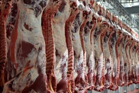 تنظیم بازار گوشت در مشهد زیر ذره‌بین دستگاه‌های نظارتی