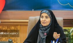 توسعه بدون مشارکت واقعی زنان پایدار نخواهد بود