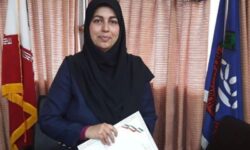 تکذیب رونمایی دوباره از دو رقم برنج کیان و هستی