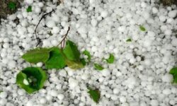 تگرگ شدید در روستای سرزه شمیل هرمزگان