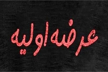 جزئیات عرضه اولیه اروند/ سهامداران بورس بخوانند