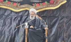 حجت الاسلام دانشمند: شناخت دشمنان اهل‌بیت(ع) برای نجات جامعه ضروری است