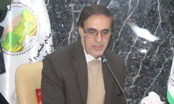 حسینی: بازخوانی کرامت زن در اندیشه اسلامی یک ضرورت فرهنگی است