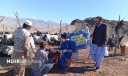 خدمت رایگان دامپزشکی به عشایر روستاهای ایرندگان خاش