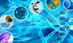 خسارت سه میلیارد دلاری بهای مقاومت در مقابل زیست‌فناوری کشاورزی