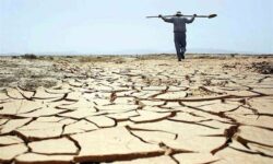 خشکسالی ۴۰ همتی بزرگ‌ترین خسارت سال‌های اخیر کشاورزی خوزستان بود