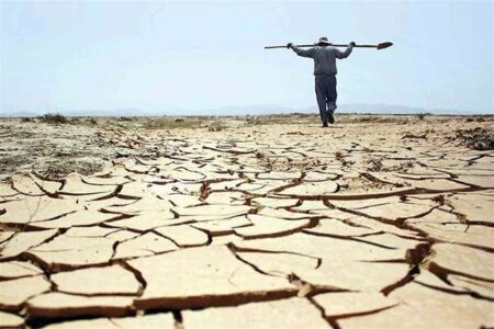 خشکسالی ۴۰ همتی بزرگ‌ترین خسارت سال‌های اخیر کشاورزی خوزستان بود
