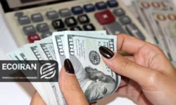 دلار تا کجا افزایشی خواهد بود؟ / پیش‌بینی مهم یک کارشناس اقتصادی